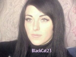BlackCat23