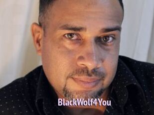 BlackWolf4You