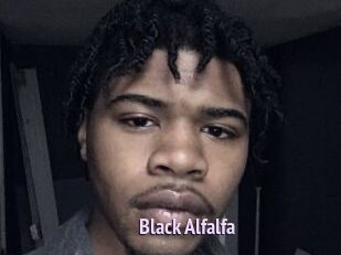 Black_Alfalfa
