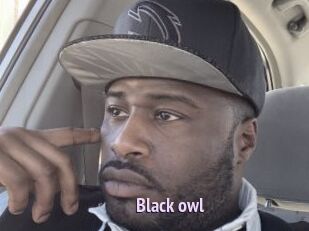 Black_owl