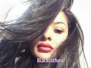 Blackcatforu