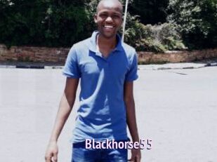 Blackhorse55