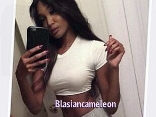 Blasiancameleon