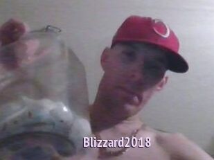 Blizzard2018