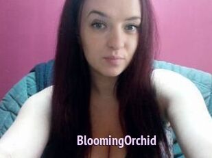 BloomingOrchid