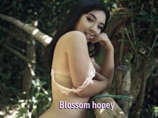 Blossom_honey