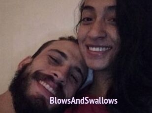 BlowsAndSwallows