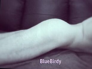 BlueBirdy