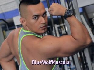 BlueWolfMuscular