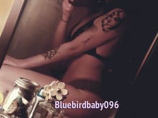 Bluebirdbaby096