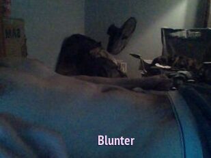 Blunter