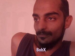 BobX