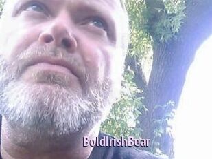 BoldIrishBear