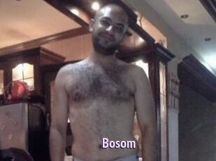 Bosom