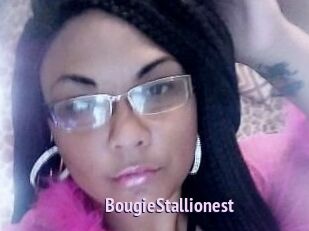 BougieStallionest