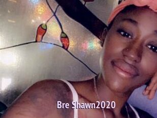 Bre_Shawn2020