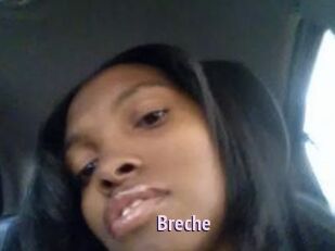 Breche