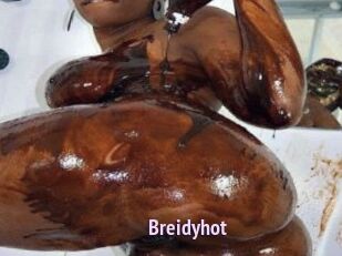 Breidyhot