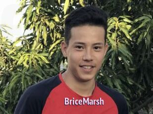 BriceMarsh
