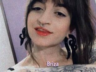Briza