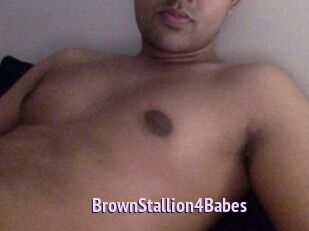 BrownStallion4Babes