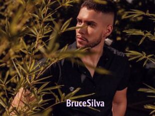 BruceSilva