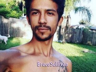Bruce_Sullivan Film Porno