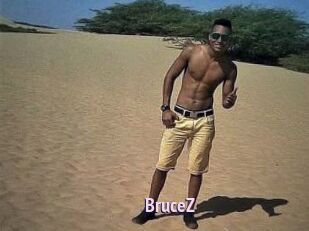 BruceZ