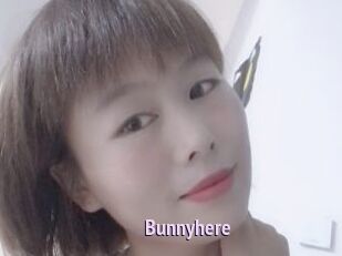 Bunnyhere