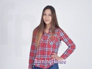 BurningFlamee