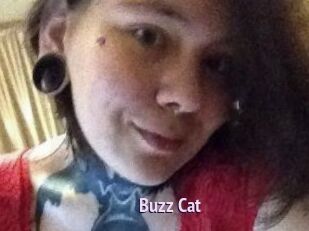 Buzz_Cat