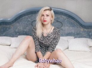Babywhale