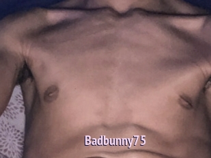 Badbunny75