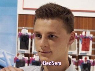 BedSem
