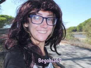 Begonia69