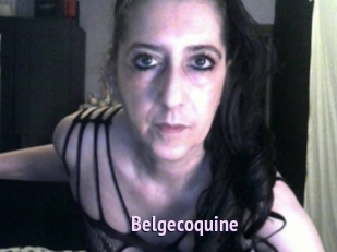 Belgecoquine