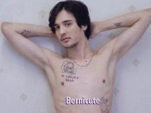 Bernicute