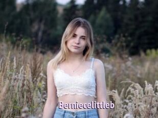 Berniecelittleb