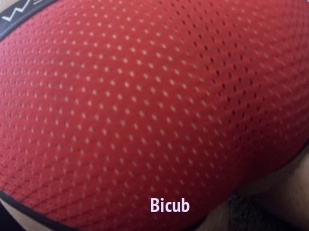 Bicub
