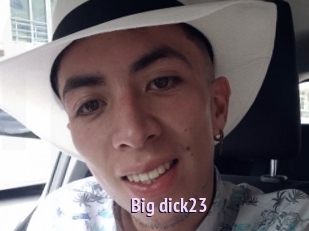 Big_dick23