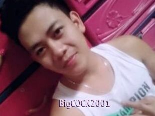 BigCOCK2001