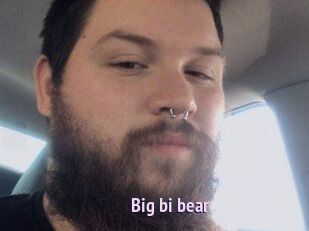 Big_bi_bear