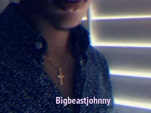 Bigbeastjohnny