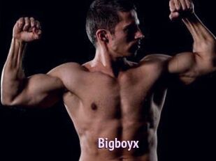 Bigboyx