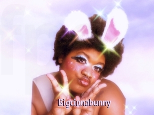 Bigcinnabunny