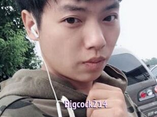 Bigcock214