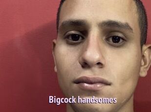 Bigcock_handsomes
