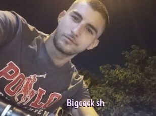 Bigcock_sh