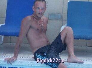 Bigdick22cm