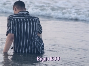 Bigdick500